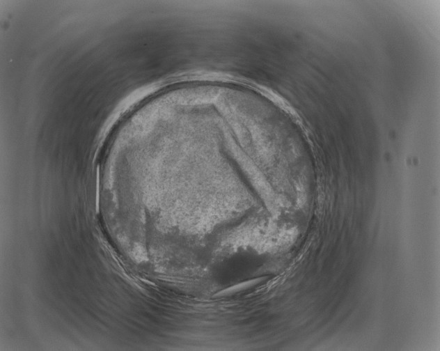 X0000083981223200703161548