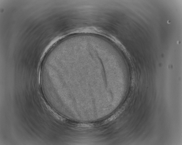 X0000083981224200703161548