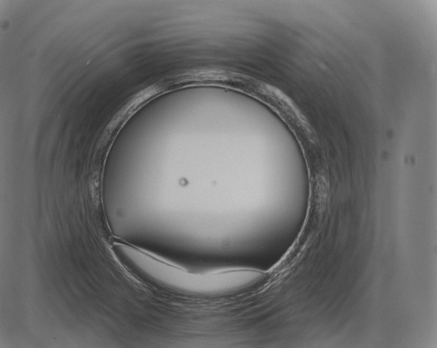 X0000083981225200703161548