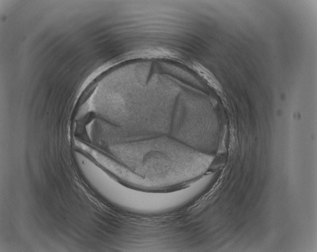 X0000083981226200703161548