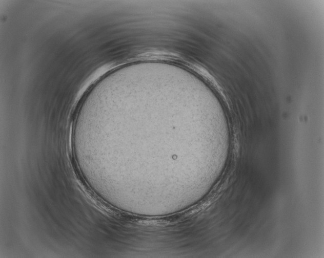 X0000083981227200703161548