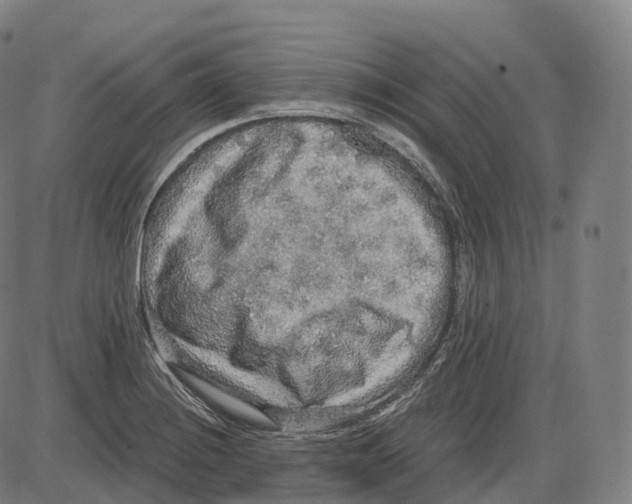 X0000083981228200703161548