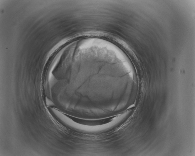 X0000083981229200703161548