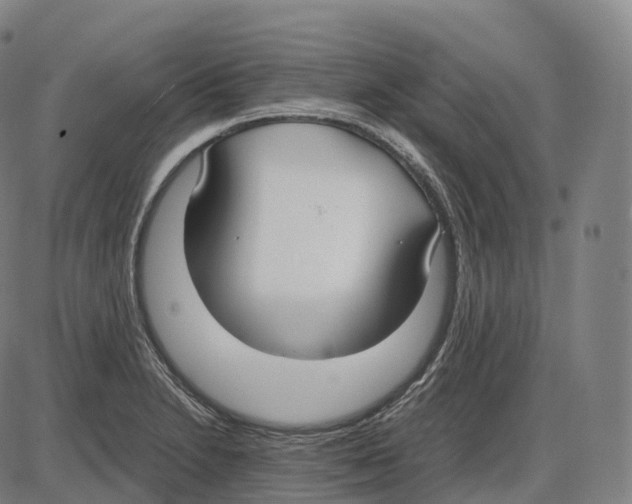 X0000083981230200703161548