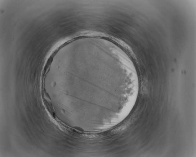 X0000083981231200703161548