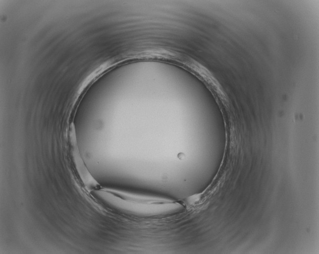 X0000083981234200703161549