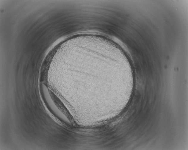 X0000083981237200703161549