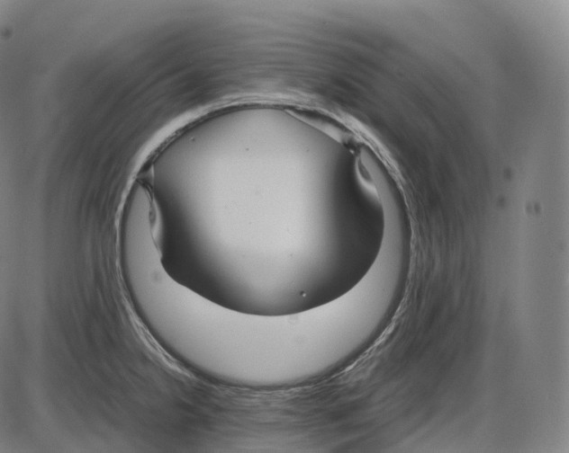 X0000083981238200703161549