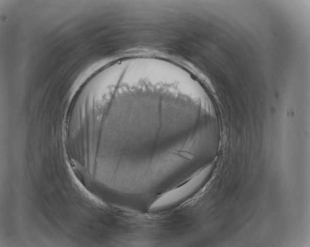 X0000083981239200703161549