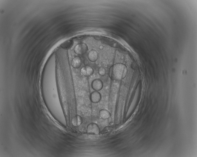 X0000083981240200703161549