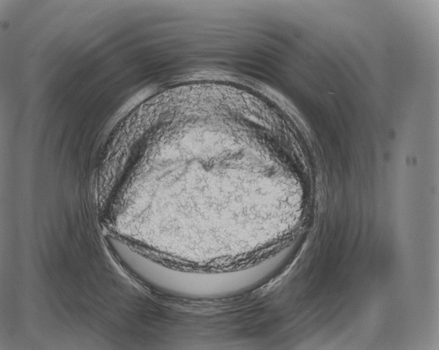 X0000083981241200703161549