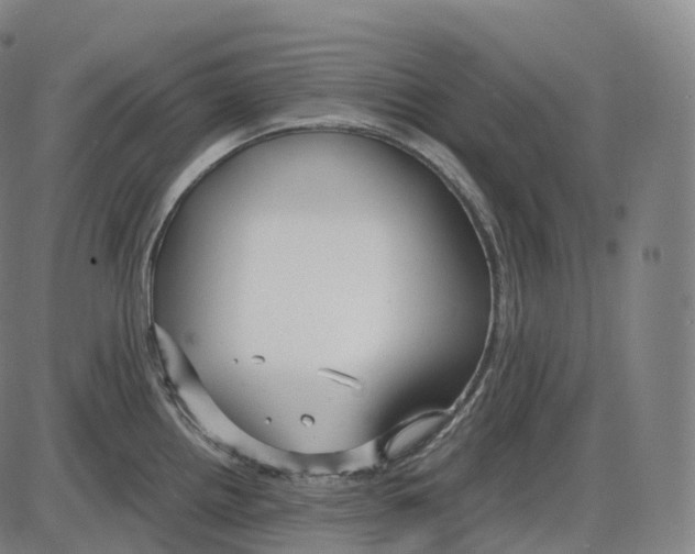 X0000083981242200703161549