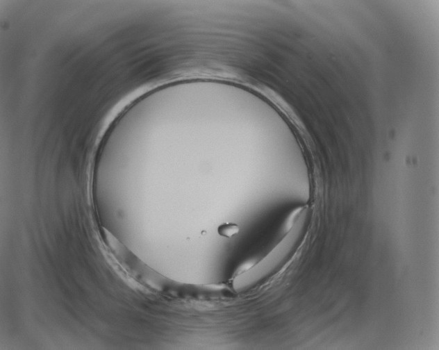 X0000083981246200703161549