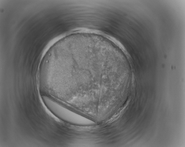 X0000083981247200703161549