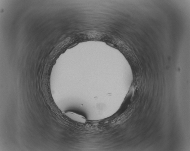 X0000083981249200703161548