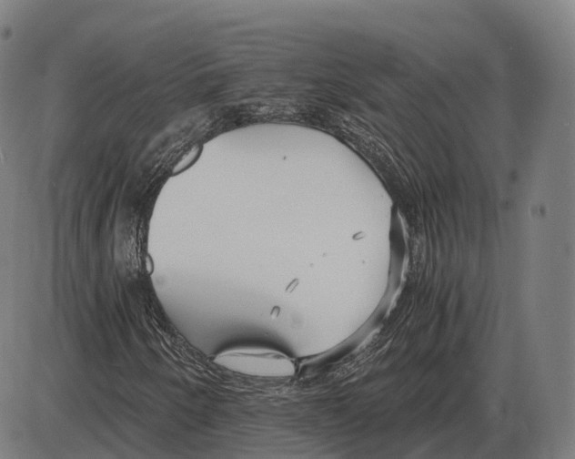 X0000083981250200703161548