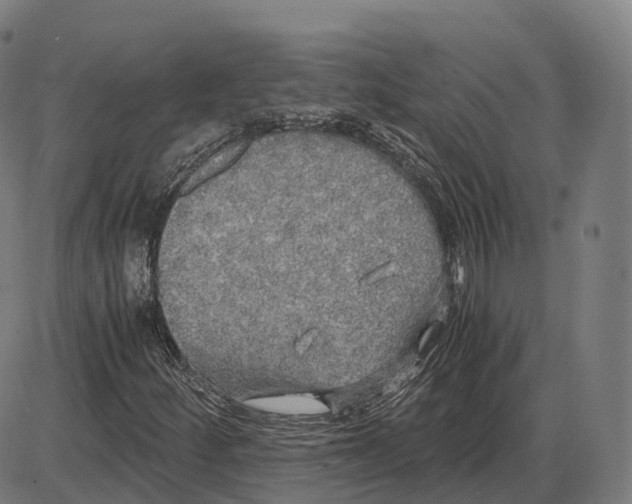 X0000083981252200703161548