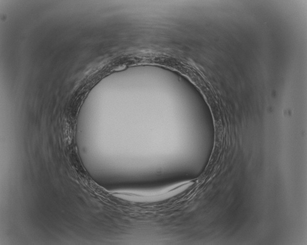 X0000083981253200703161548