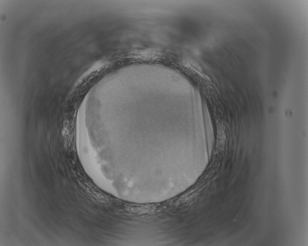 X0000083981254200703161548