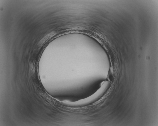 X0000083981257200703161548