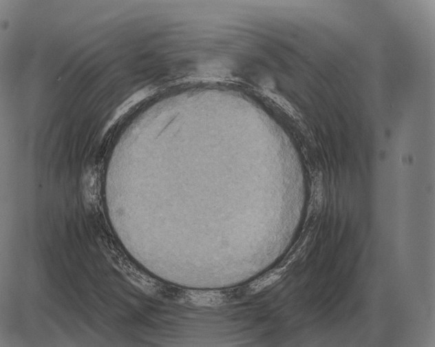 X0000083981258200703161548