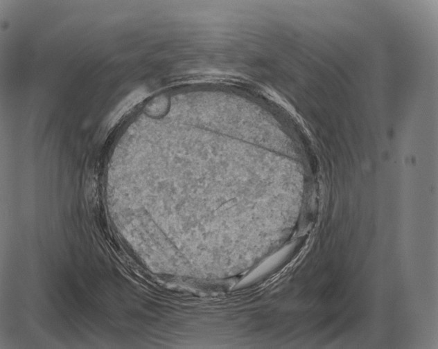 X0000083981259200703161548