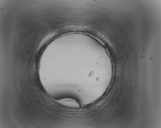 X0000083981261200703161548