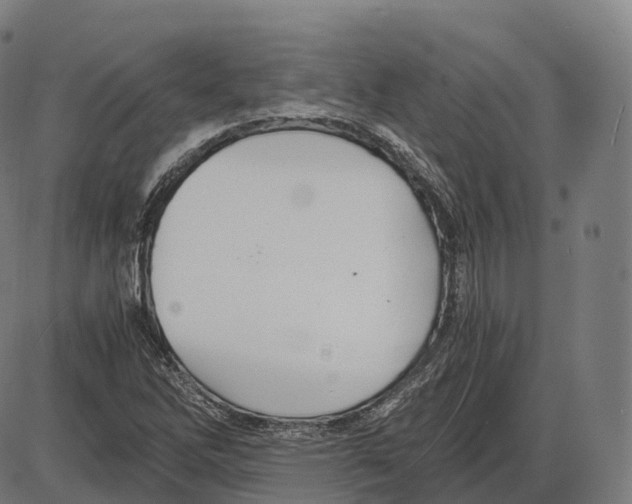 X0000083981262200703161548