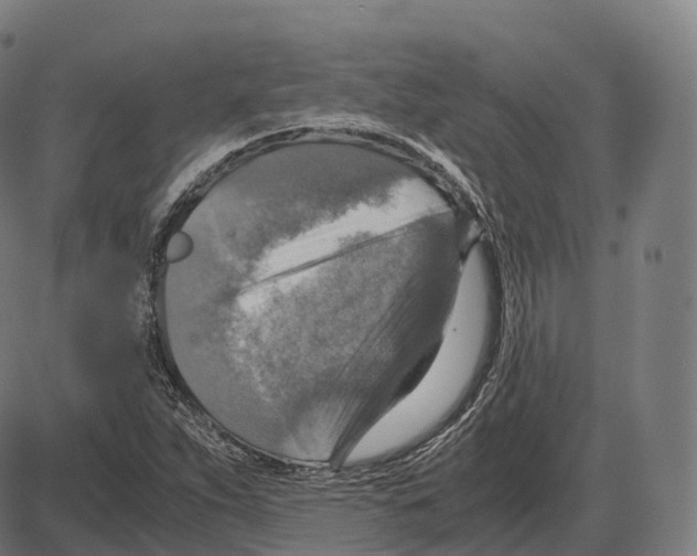 X0000083981263200703161548