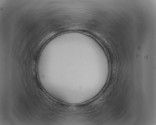 X0000083981265200703161548