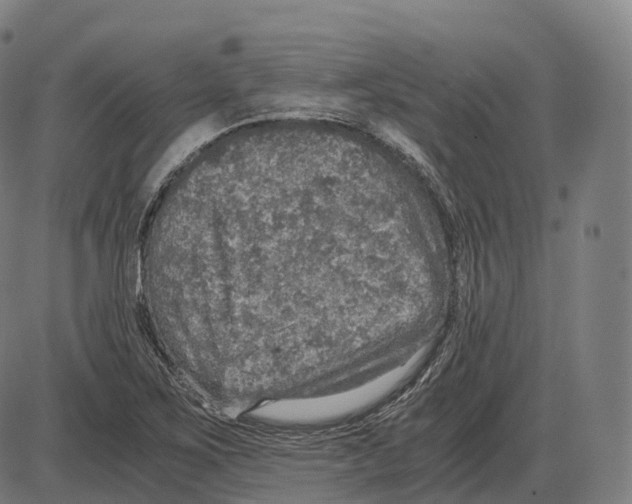 X0000083981267200703161548