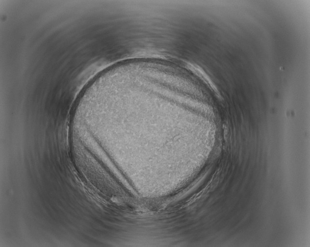 X0000083981268200703161548