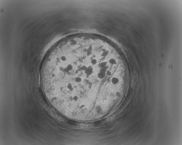 X0000083981271200703161548