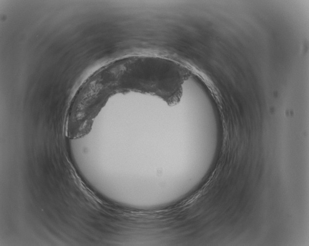 X0000083981272200703161548