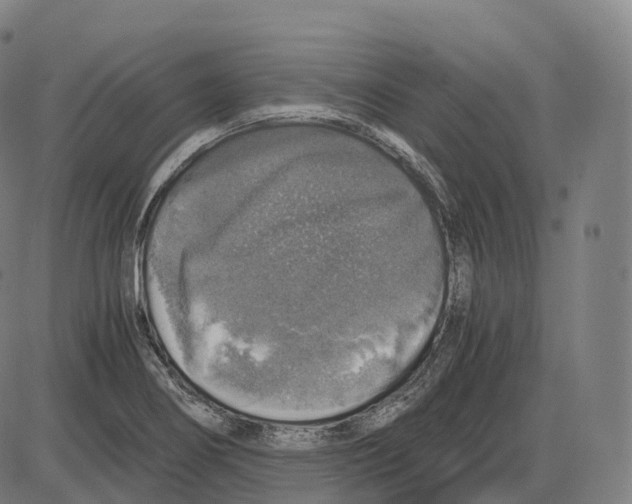 X0000083981274200703161548