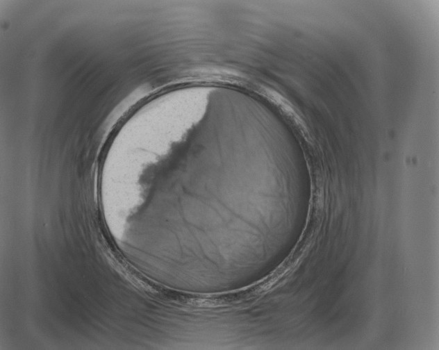 X0000083981275200703161548