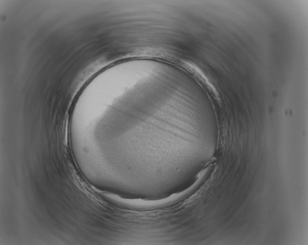 X0000083981276200703161548