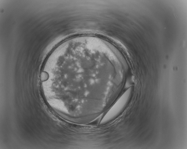 X0000083981279200703161547