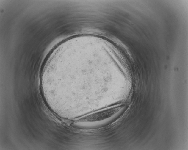 X0000083981280200703161547