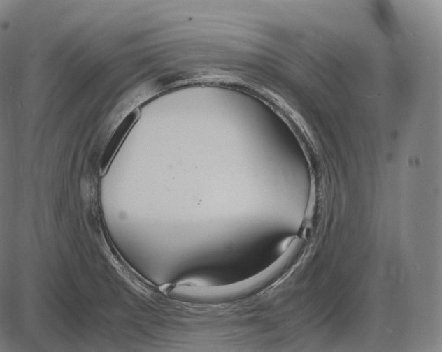 X0000083981281200703161547