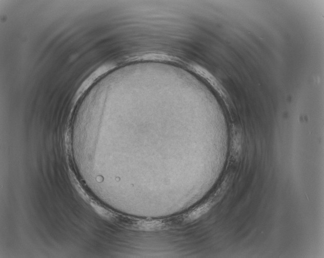 X0000083981282200703161547