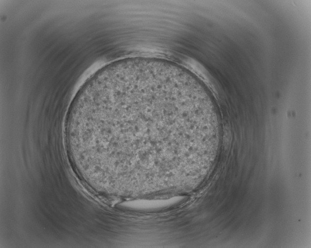 X0000083981283200703161547