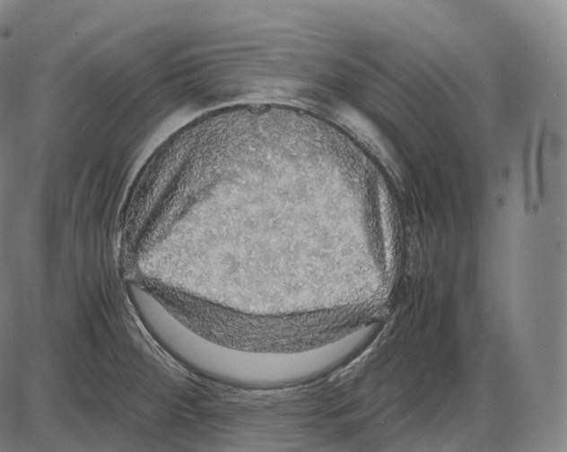 X0000083981284200703161547