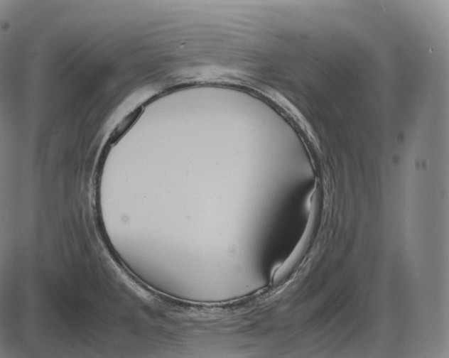 X0000083981285200703161547