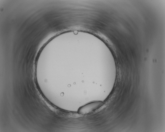 X0000083981286200703161547