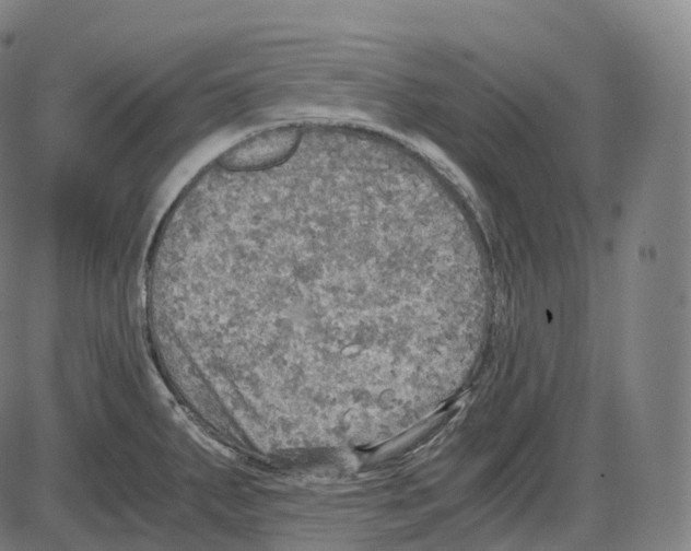 X0000083981287200703161547