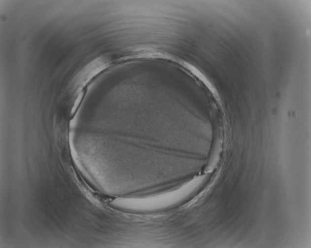 X0000083981289200703161547