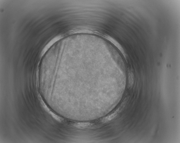 X0000083981290200703161547