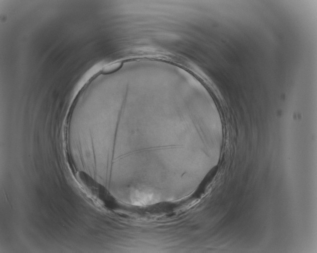 X0000083981291200703161547