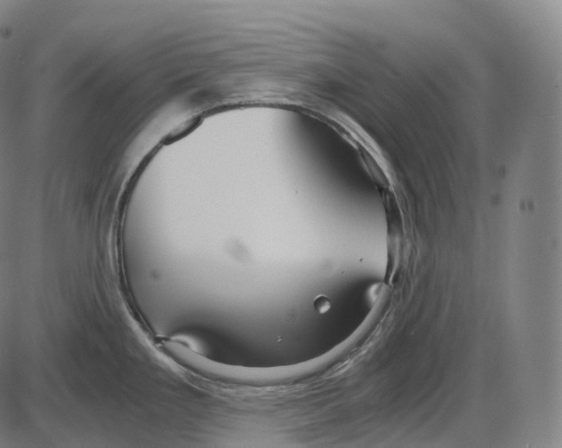 X0000083981293200703161547